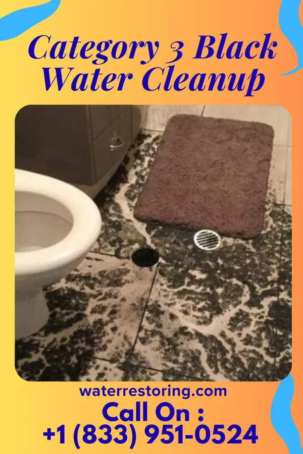 Category 3 Black Water Cleanup in Vienna, WV