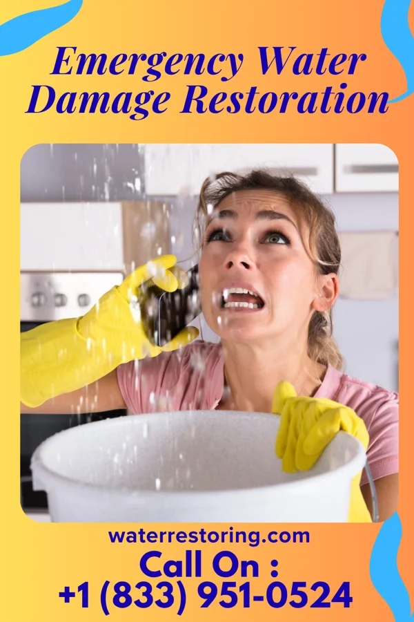 Emergency Water Damage Restoration in Vienna, WV