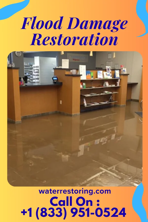 Flood Damage Restoration in Vienna, WV