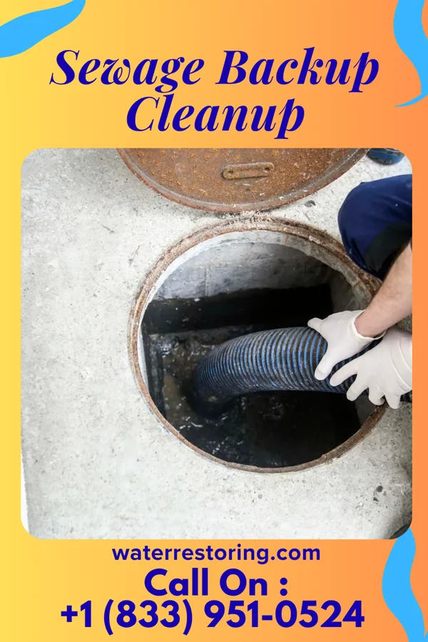 Sewage Backup Cleanup in Vienna, WV