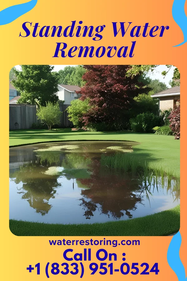 Standing Water Removal in Vienna, WV